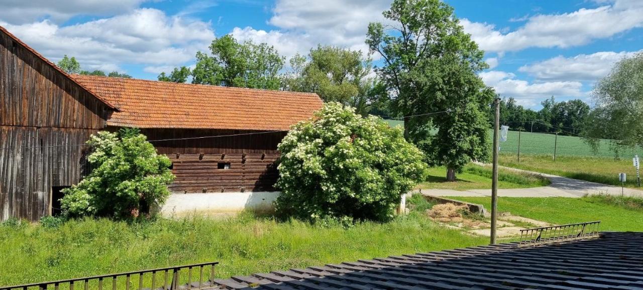 Land-Gut-Hotel Gasthof Waldschaenke Altfraunhofen Esterno foto