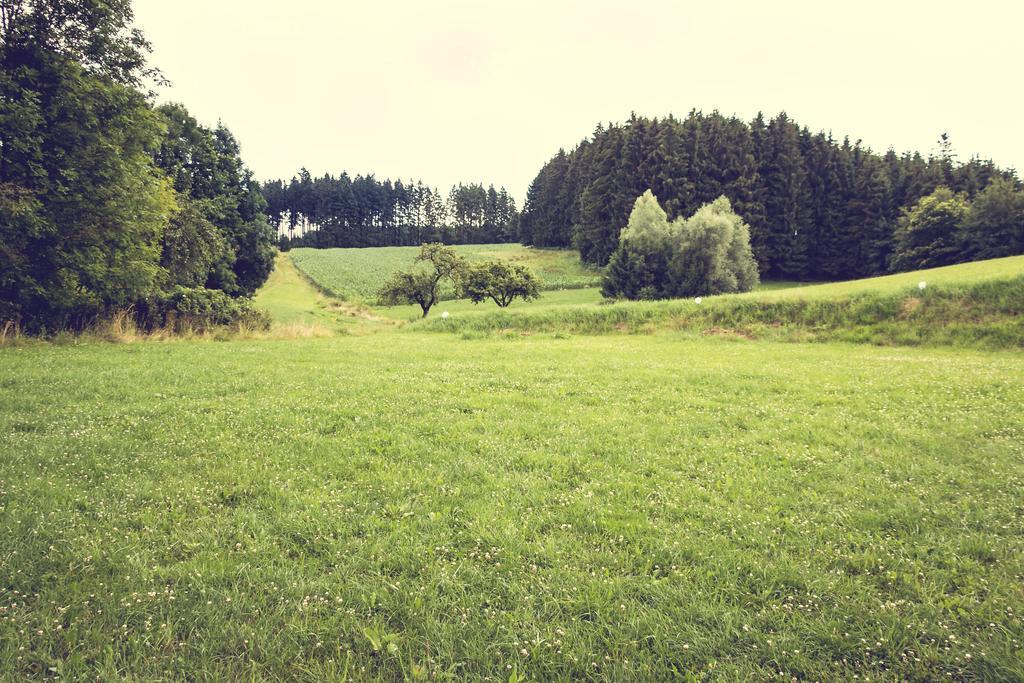 Land-Gut-Hotel Gasthof Waldschaenke Altfraunhofen Esterno foto
